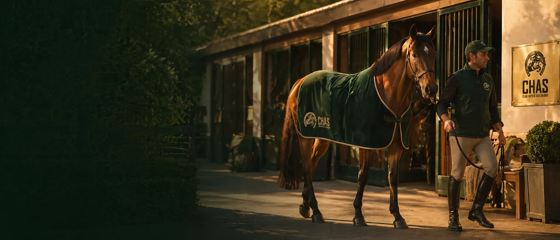 Caballo castaño con manta del CHAS saliendo de las cuadras